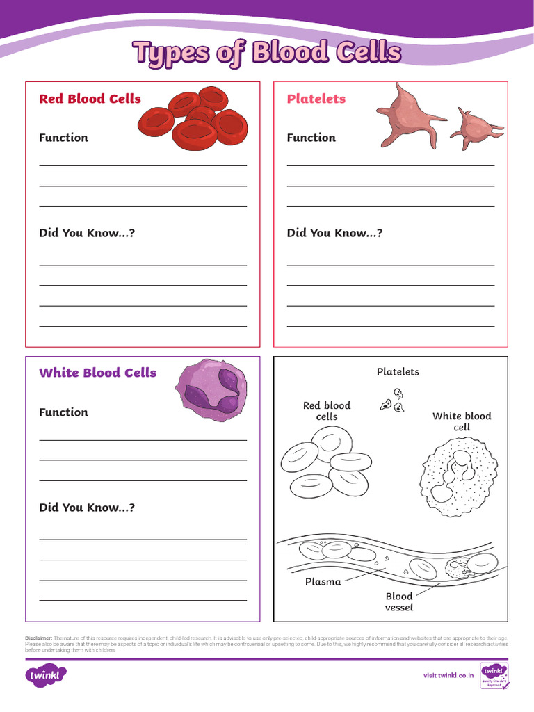 In SC 1713514336 Types of Blood Cells Fact File Template Ver 1 | PDF
