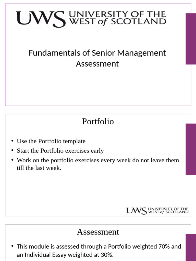 Senior Management Portfolio Guidelines | PDF | Turnitin
