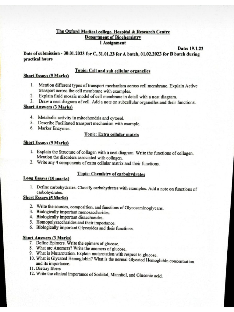 Biochemistry Assignment Overview | PDF | Glycolysis | Metabolic Pathway