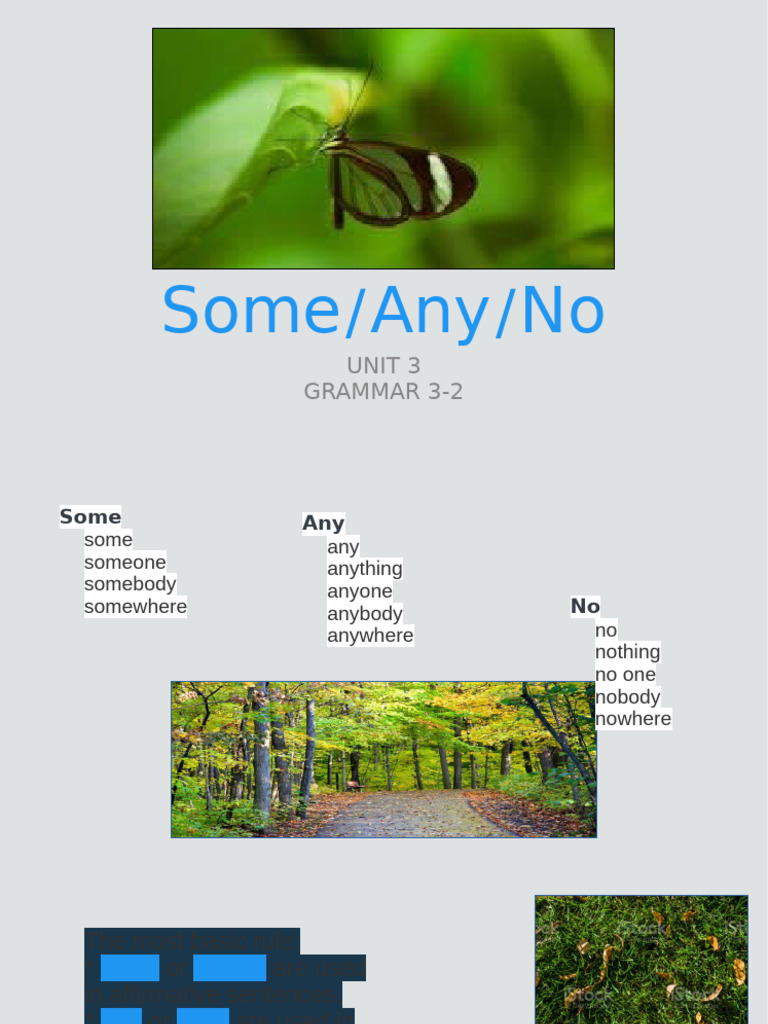 Understanding Some, Any, and No Usage | PDF