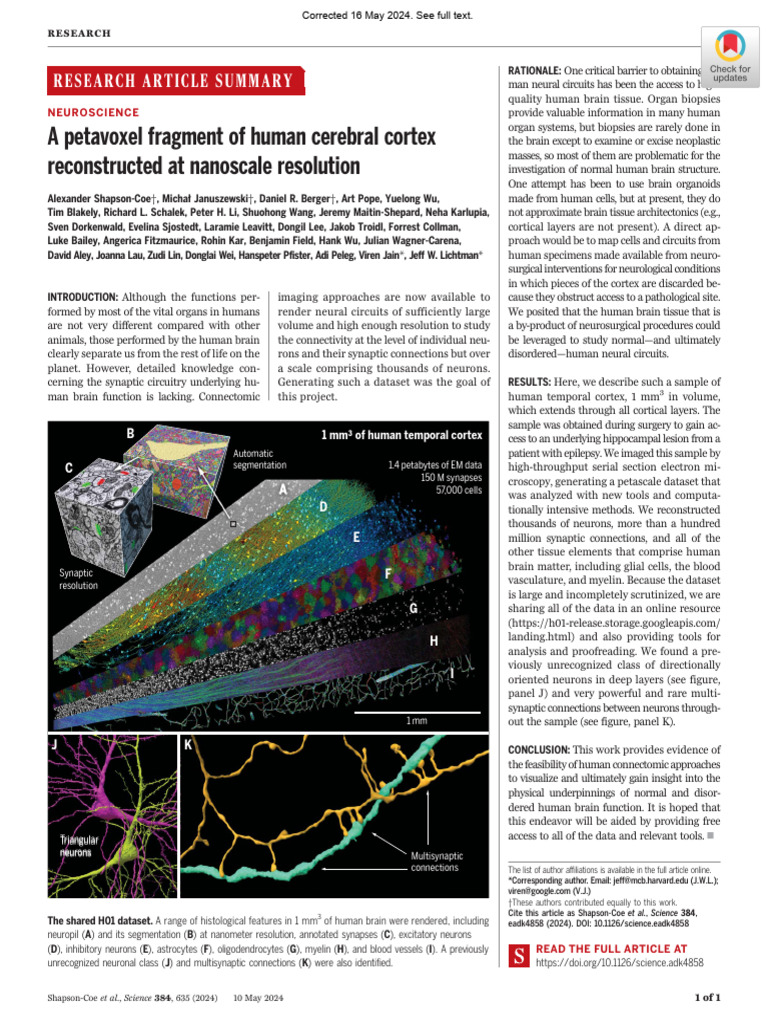 Nanoscale Reconstruction of Human Cortex | PDF | Brain | Synapse