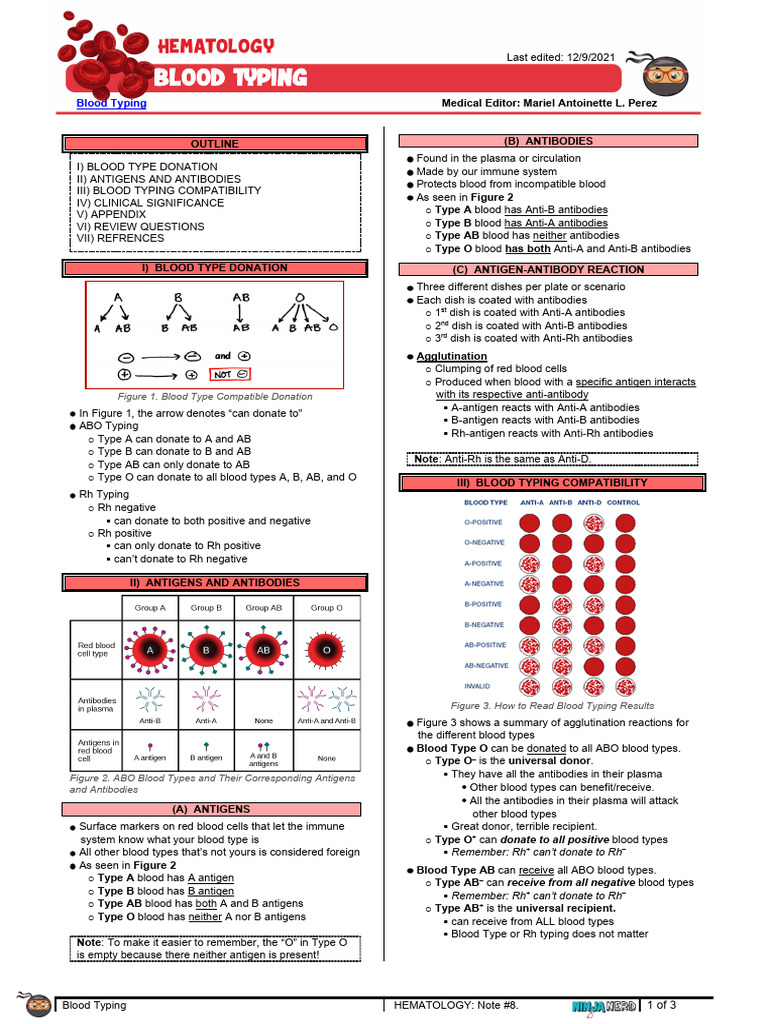 348 - Hematology Physiology) Blood Typing | PDF | Blood Type | Human ...