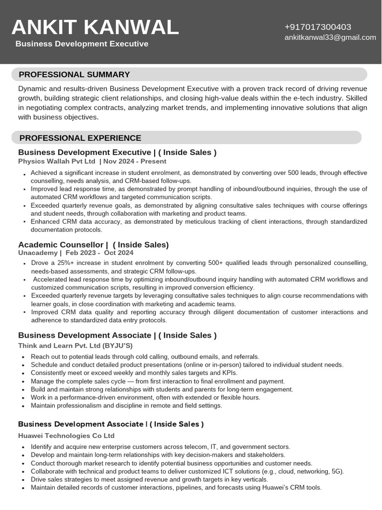 Business Development Executive Profile | PDF | Customer Relationship ...