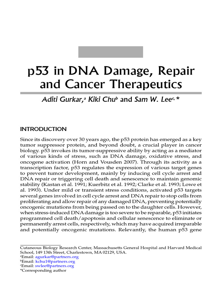 Cap 12 p53 in DNA Damage, Repair and Cancer Therapeutics | PDF | P53 ...