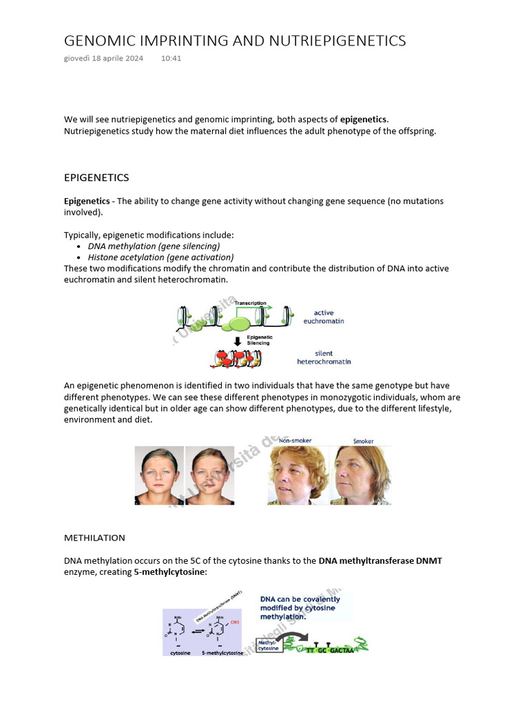 Genomic Imprinting and Nutriepigenetics | PDF | Epigenetics | Histone