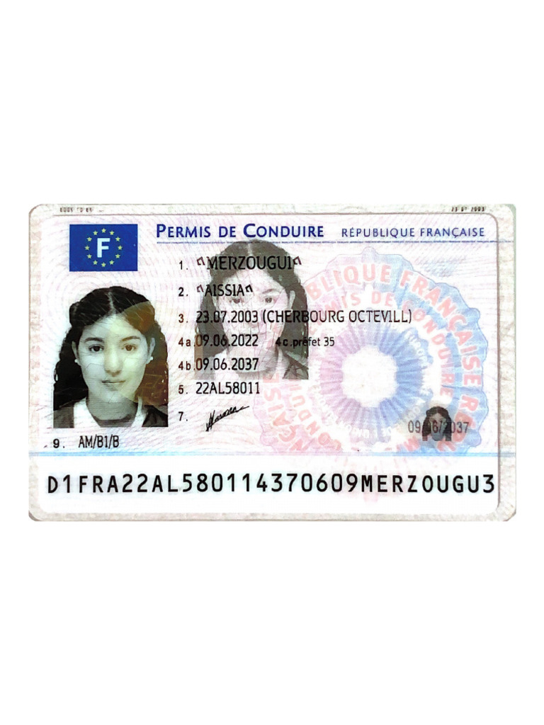Permis | PDF