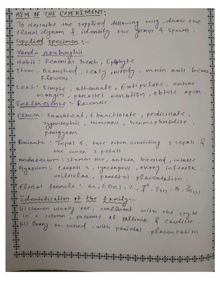 Core 10 | PDF