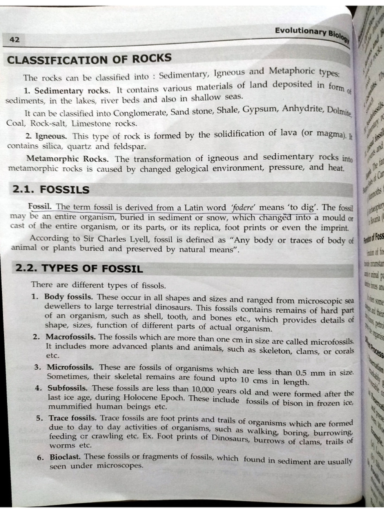 Fossils | PDF