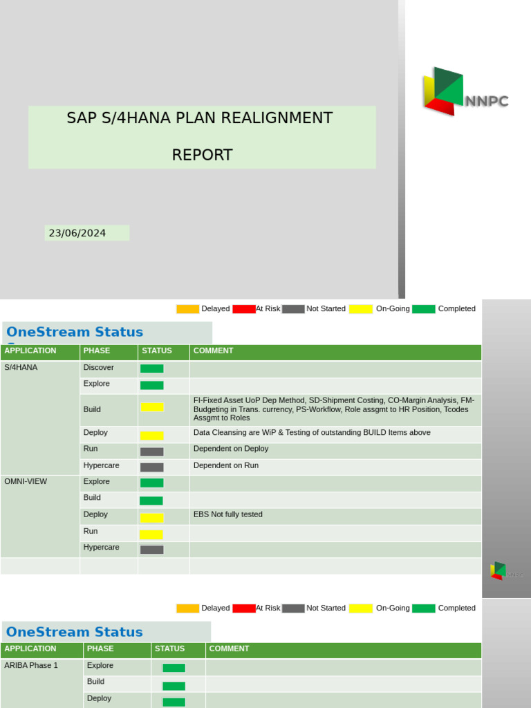 SAP S/4HANA Plan Realignment Report | PDF | Computing | Sap Se