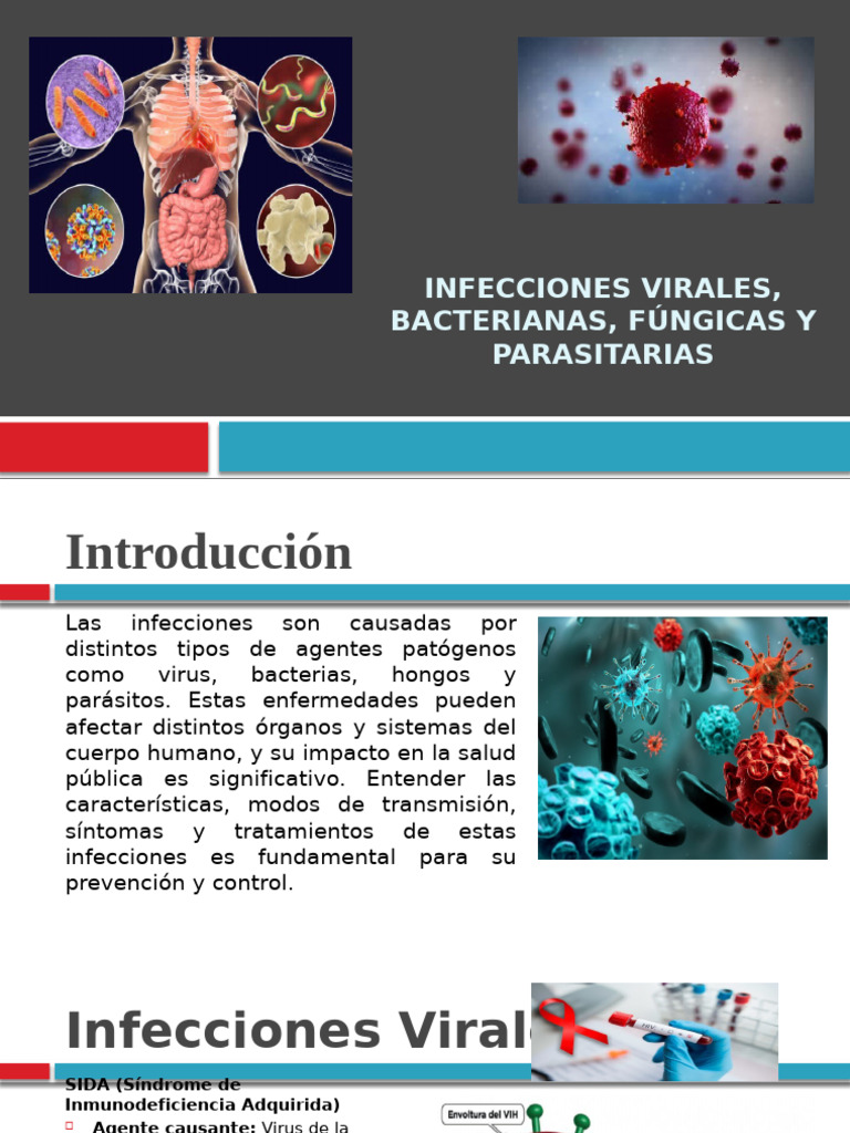 Tipos de Infecciones: Virus, Bacterias y Más | PDF | Virus | Infección