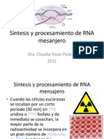 RNA Mensajero