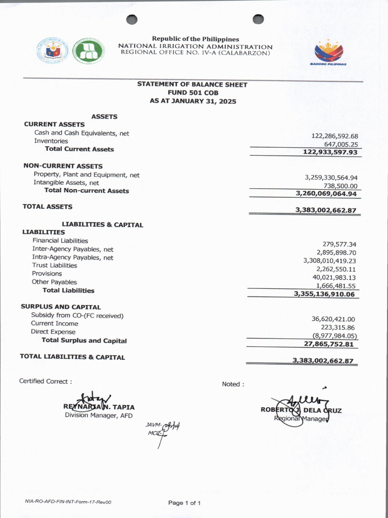 Balance Sheet (January 2025) | PDF