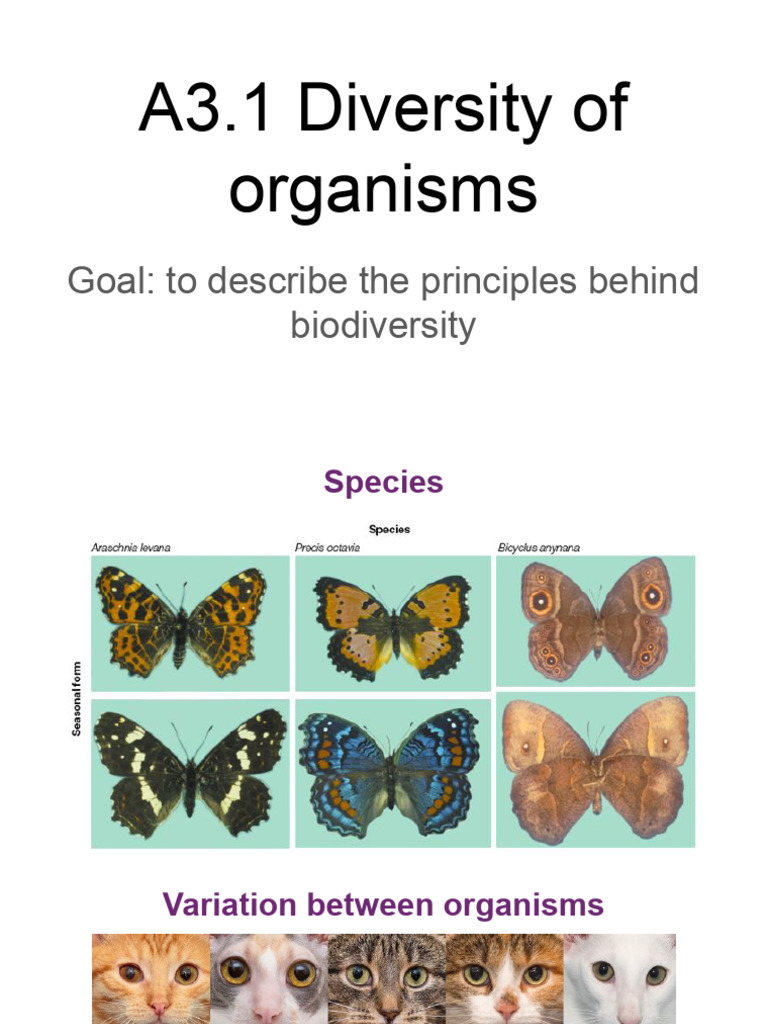 Variation Among Organisms Explained | PDF | Chromosome | Karyotype