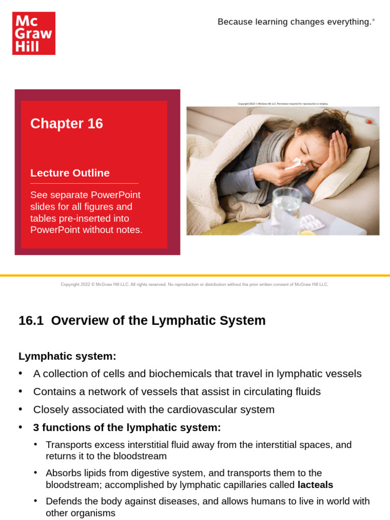 Overview of the Lymphatic System | PDF | Lymph | Lymphatic System