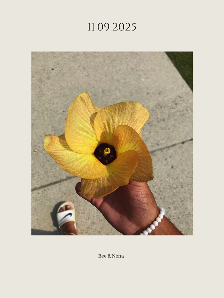 Create Your Own Magazine Guide | PDF | Graphics | Page Layout