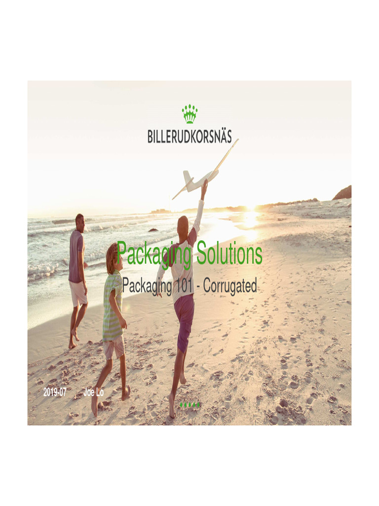 Sustainable Corrugated Packaging Solutions | PDF