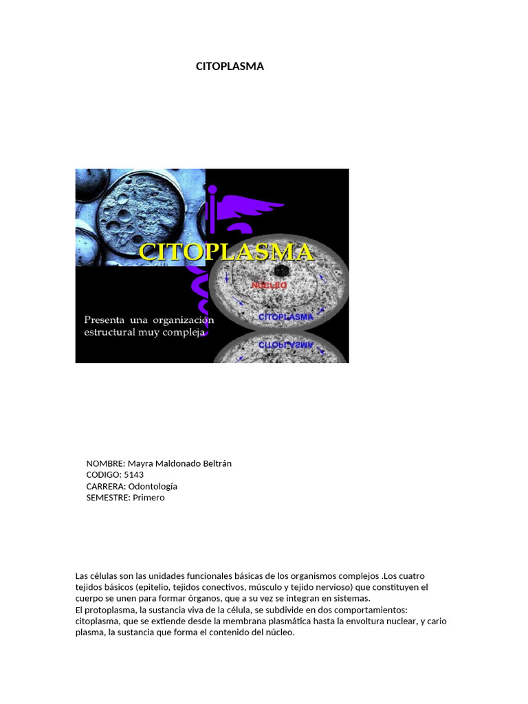 Estructura y Función del Citoplasma Celular | PDF | Membrana celular ...