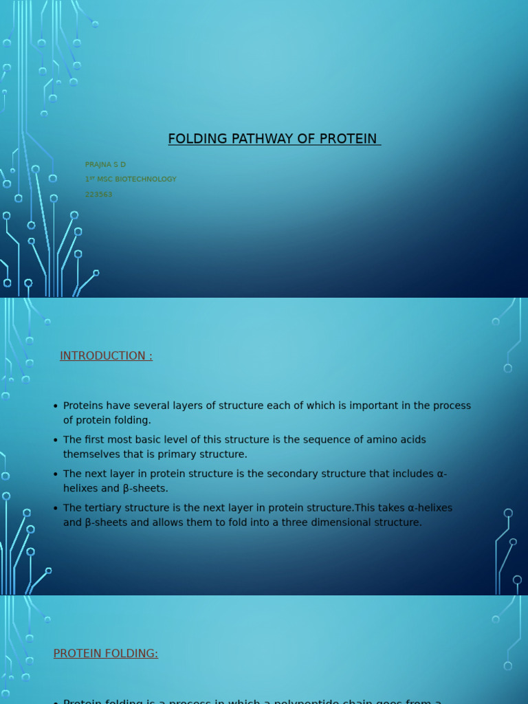 Folding Pathway of Protein | PDF | Protein Folding | Chaperone (Protein)