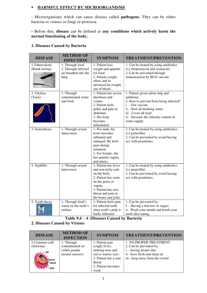 10 Harmful Microorganisms and Diseases | PDF | Infection | Epidemiology