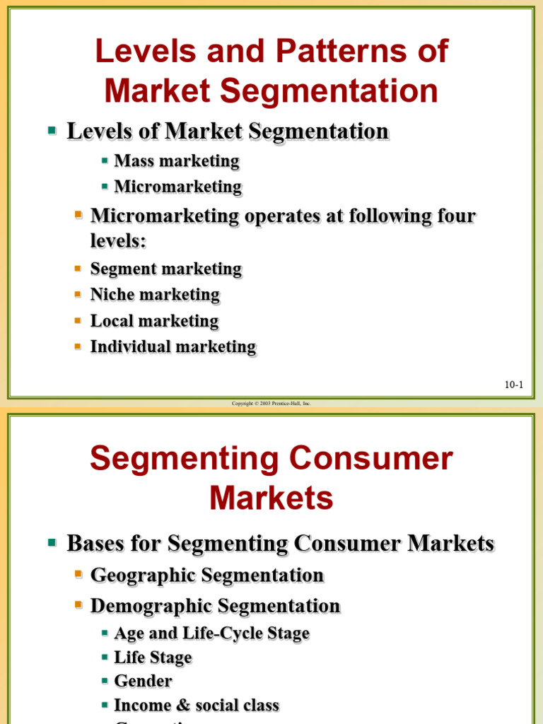 Market Segmentation Strategies Explained | PDF