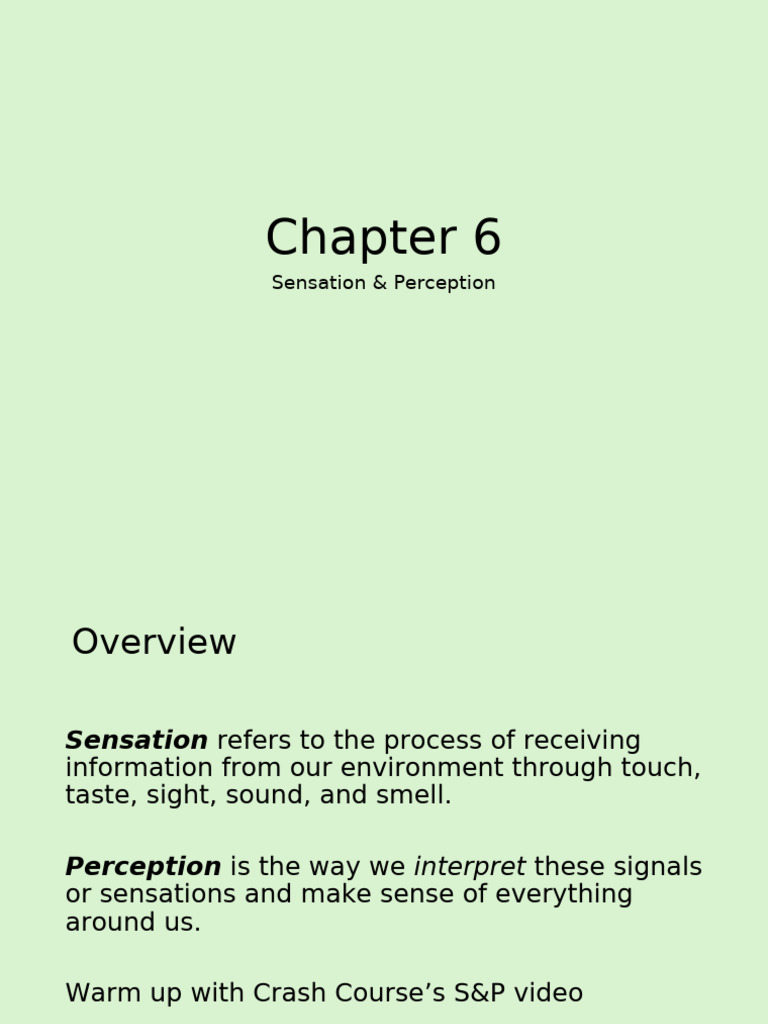 Sensation and Perception Explained | PDF | Visual System | Senses