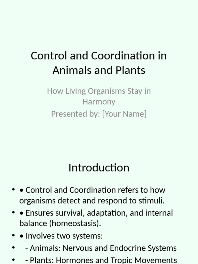Control and Coordination Designed Presentation | PDF | Hormone | Plant ...