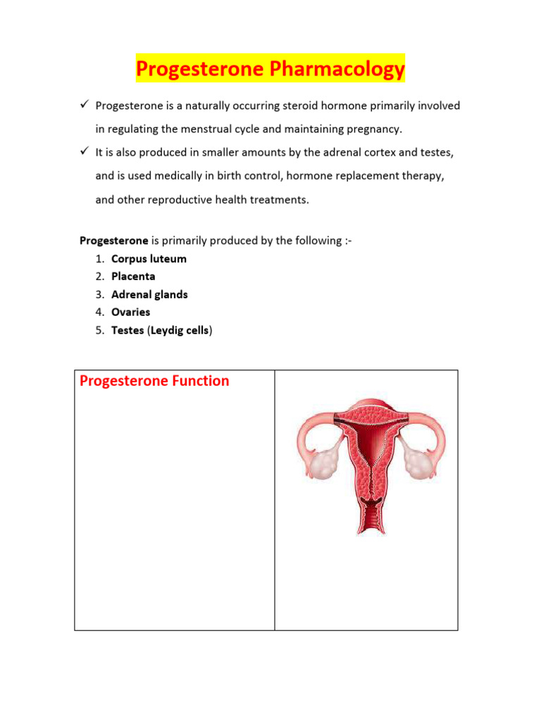 Progesterone Pharmacology Overview | PDF