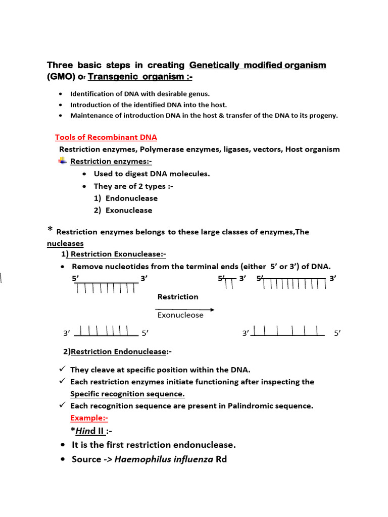 EcoRI: Key Tool in Genetic Engineering | PDF | Restriction Enzyme | Gel ...