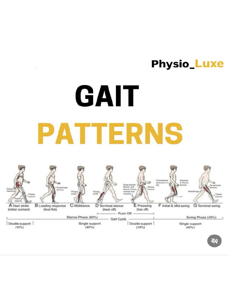 Gait Patterns | PDF