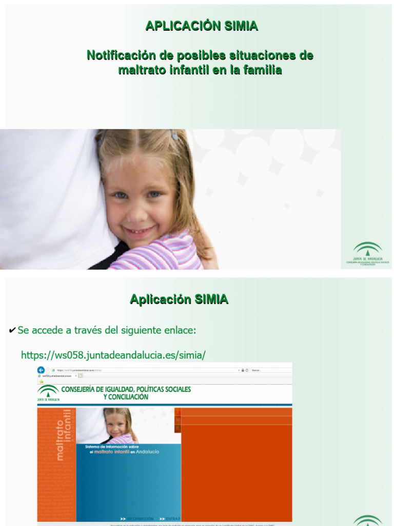 Guía para la Aplicación SIMIA | PDF | Informática | Software
