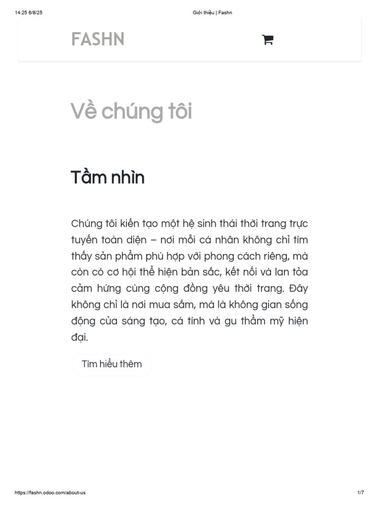 Giới thiệu - Fashn | PDF