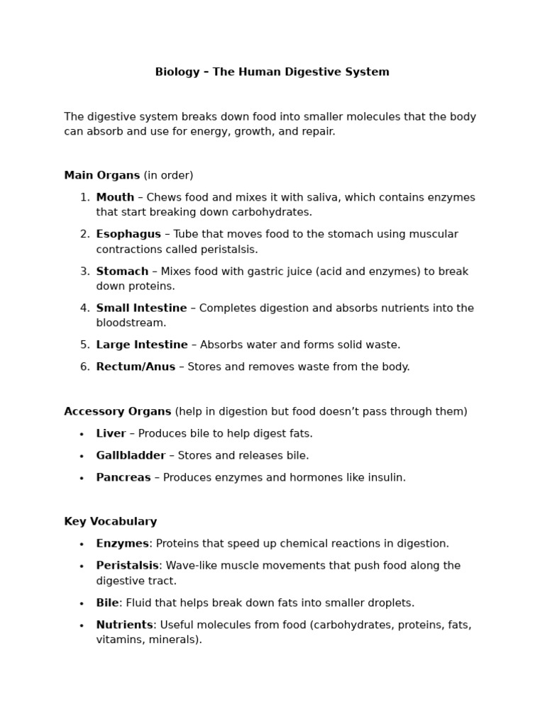 Biology - The Human Digestive System | PDF
