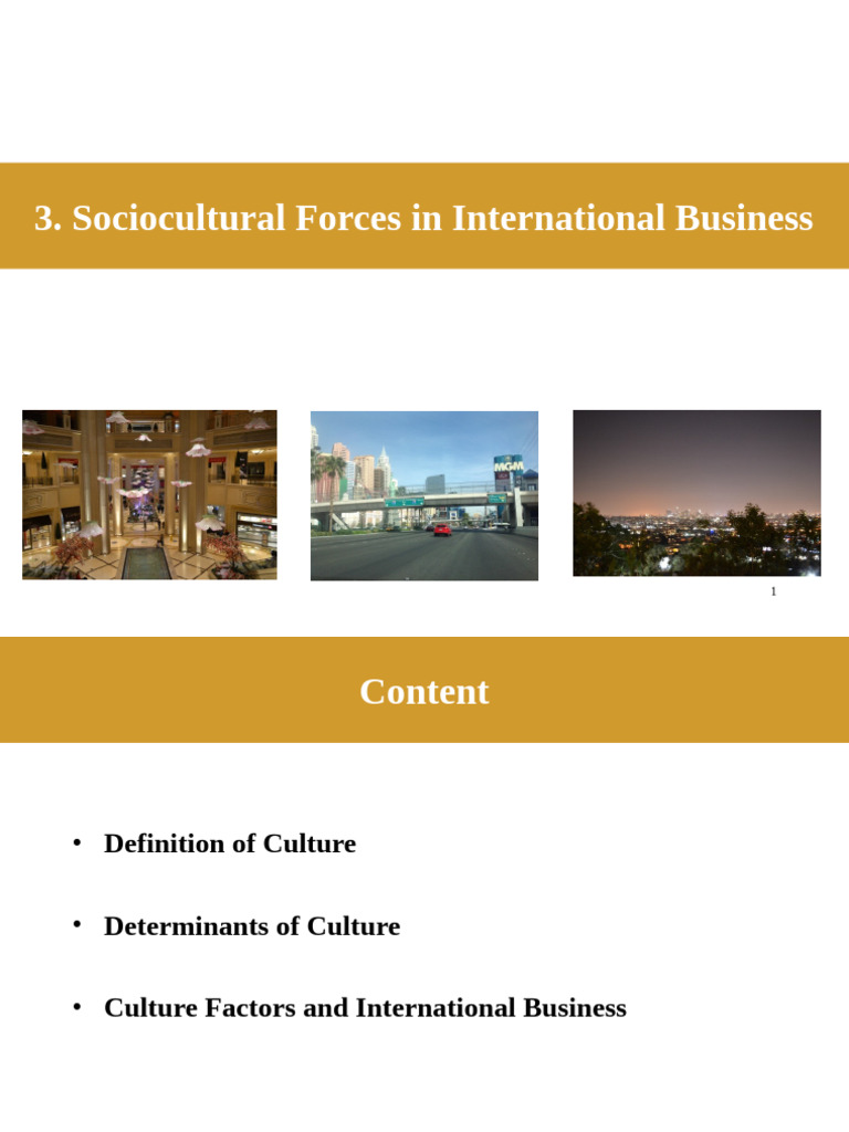 Sociocultural Forces in Global Business | PDF | Social Psychology ...