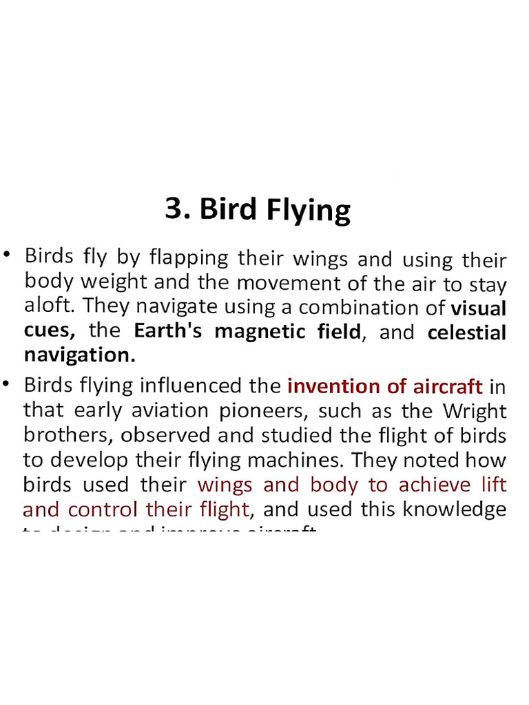 Bird Flying | PDF