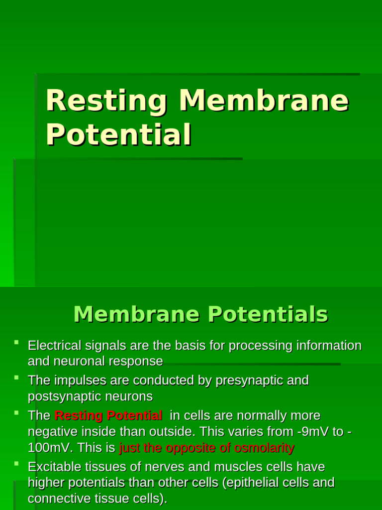 Understanding Resting Membrane Potential | PDF | Membrane Potential ...