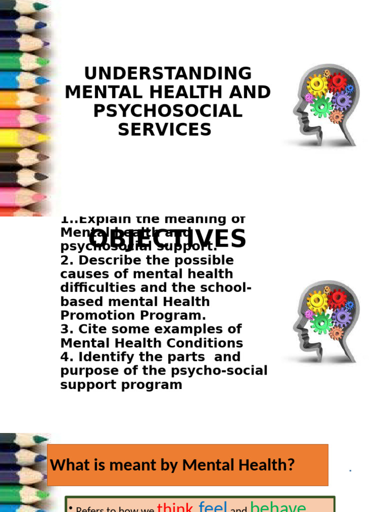 Mental Health & Psychosocial Support Guide | PDF | Mental Health ...