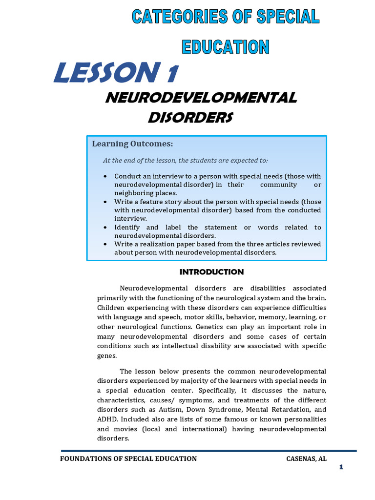 Neurodevelopmental Disorders Overview | PDF | Attention Deficit ...