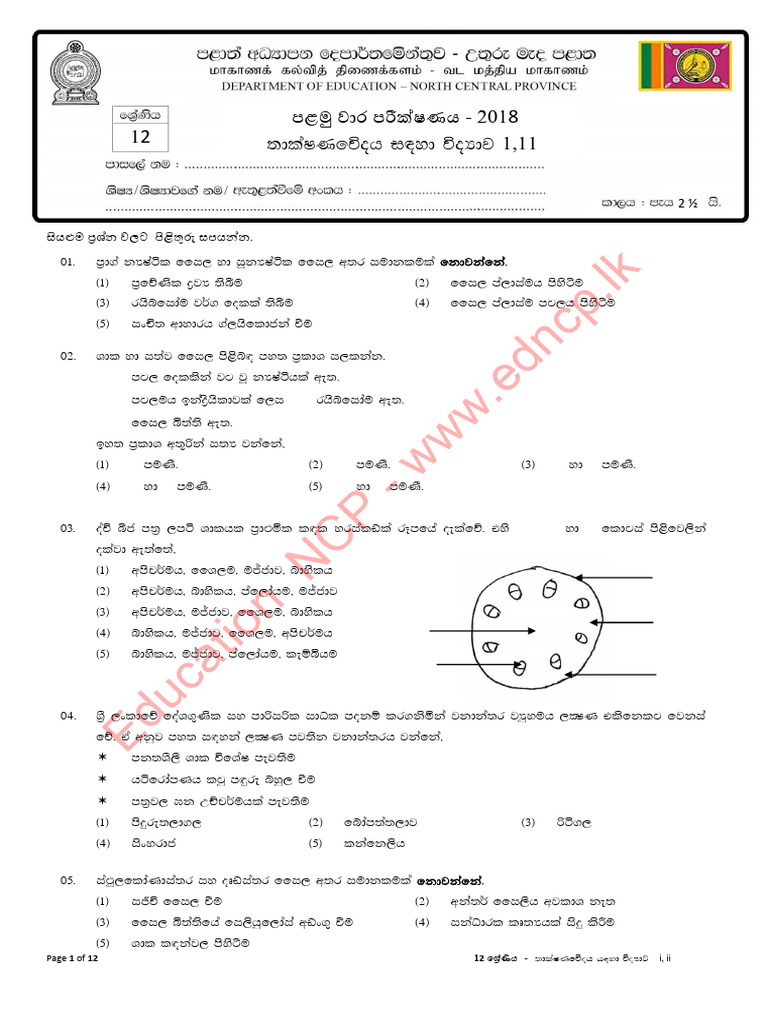 2025 A/L SFT Model Paper Analysis | PDF