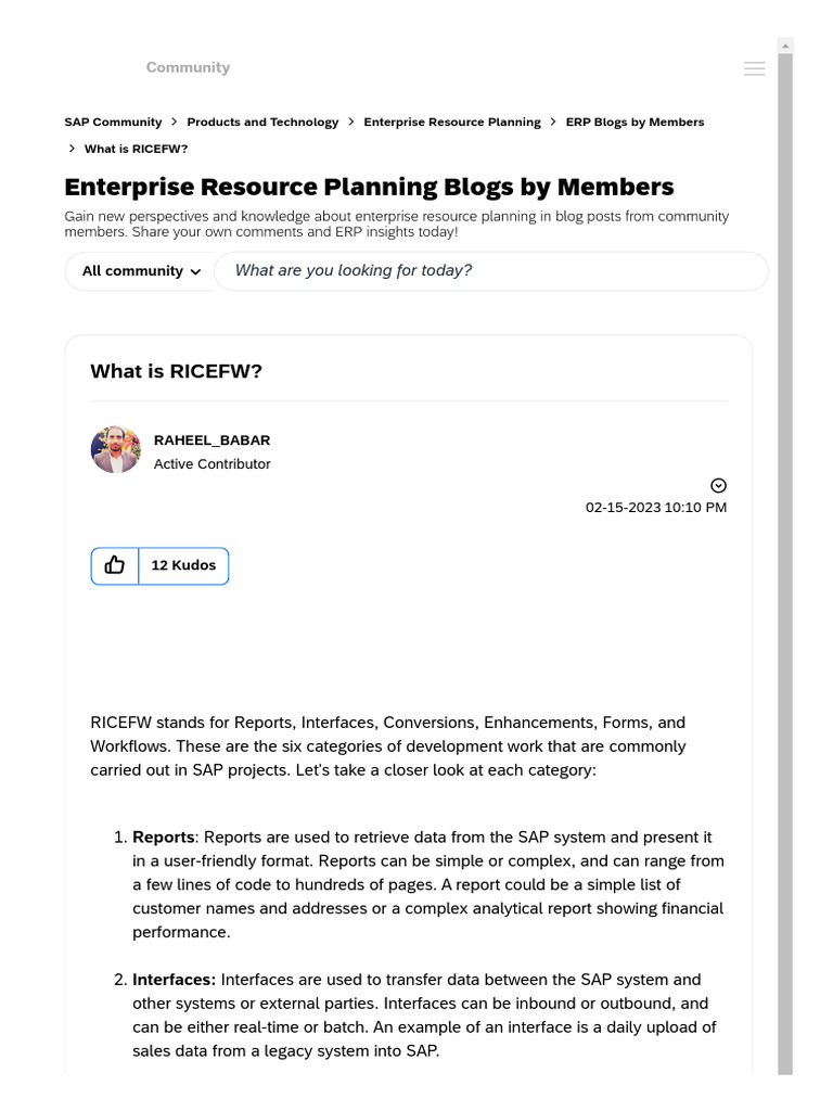 Understanding RICEFW in SAP Projects | PDF | Enterprise Resource ...