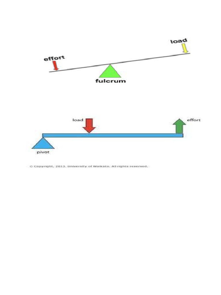 First Class Lever | PDF