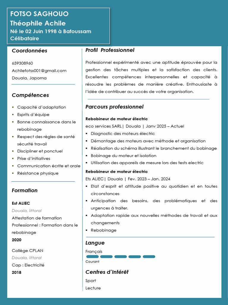 Cv Pro | PDF