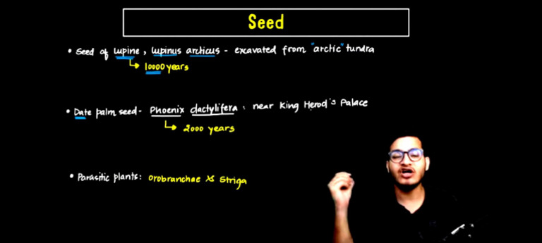 Important Point of Seed | PDF
