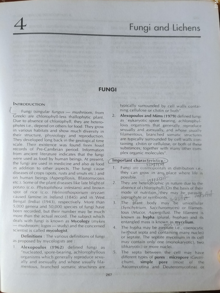 Key Characteristics of Fungi | PDF | Fungus | Mycology