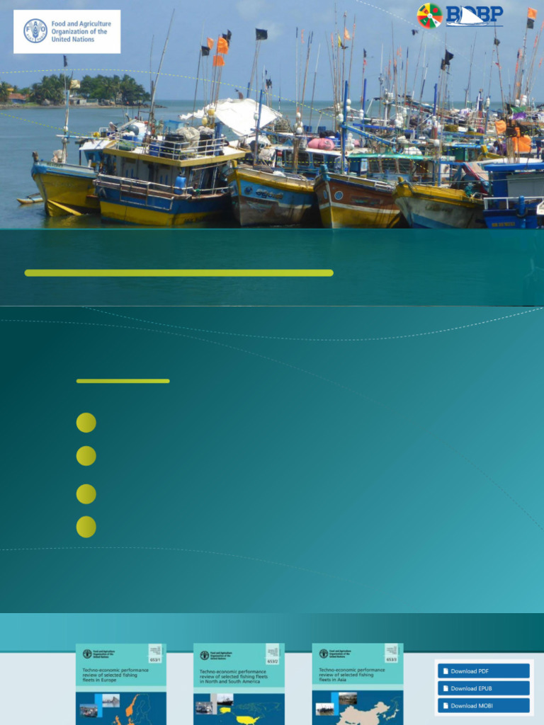 FAO Fishing Fleet Performance Review Insights | PDF
