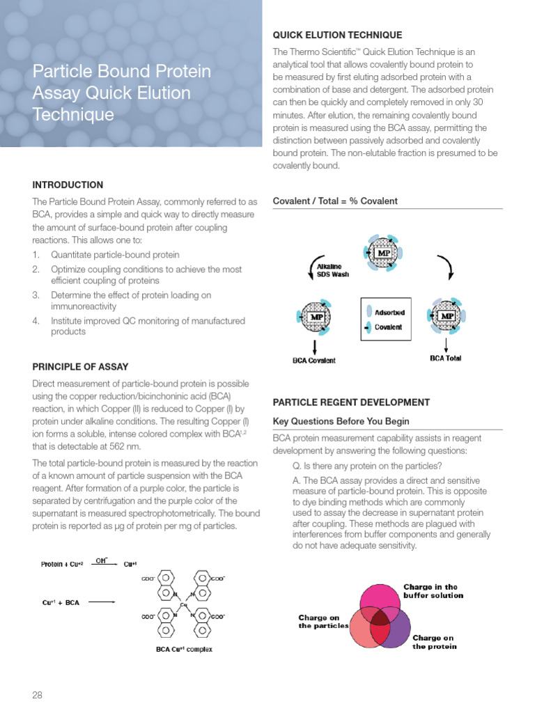 Micro BCA Protein Assay Protocol | PDF | Analytical Chemistry ...