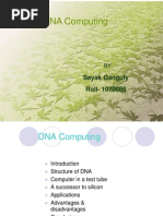 DNA Computing New