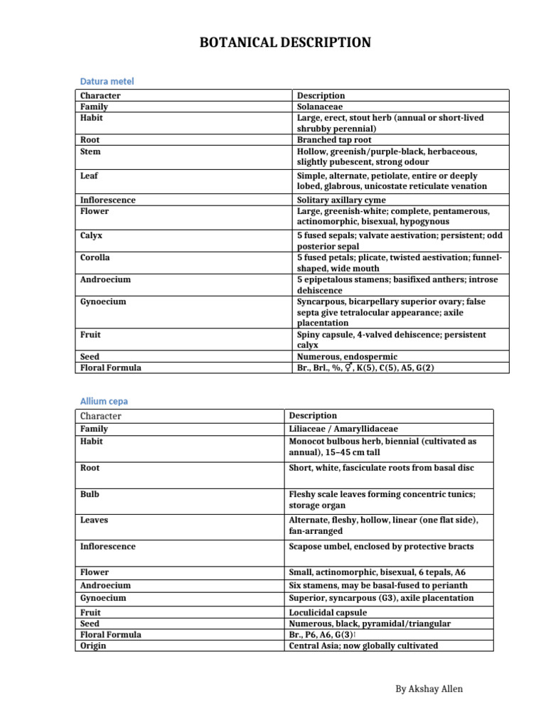 Datura Metel: Botanical Overview | PDF | Petal | Flowers