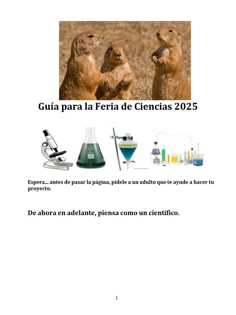 Guía Completa Feria de Ciencias 2025 | PDF | Experimentar | Hipótesis