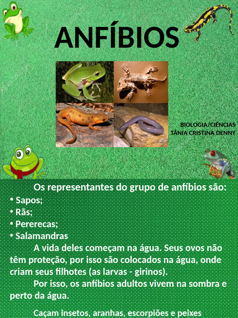 Biologia dos Anfíbios: Características e Curiosidades | PDF | Sapo ...