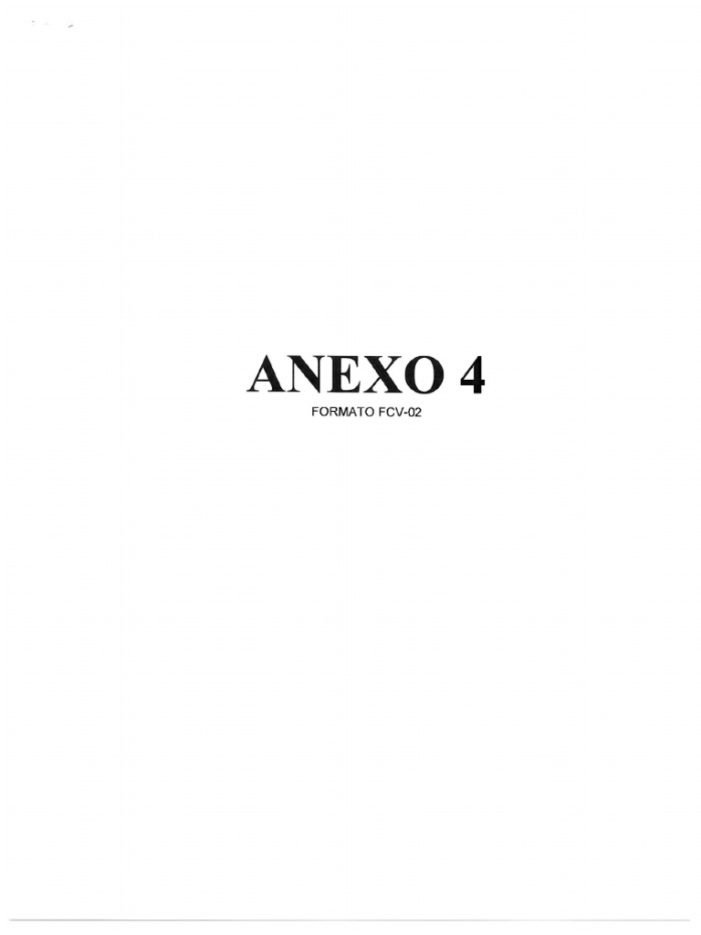 Anexo 4 | PDF